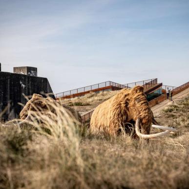 Mammut udstilling ved Tirpitz i Blåvand