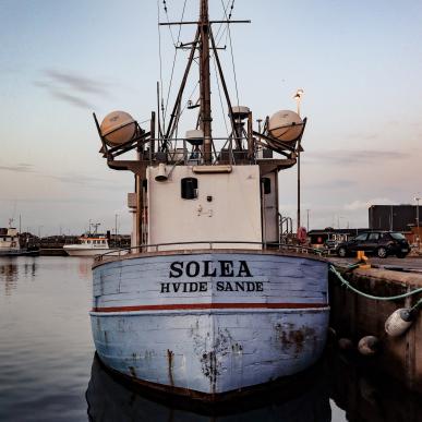 Kutteren Solea i Hvide Sande Havn