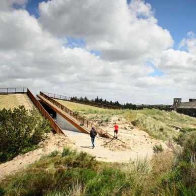 En ny analyse viser, at både kyst og naturoplevelser og de mere klassiske kulturoplevelser vægter højt hos Destination Vesterhavets gæster.