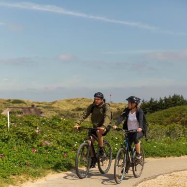 Par der cykler