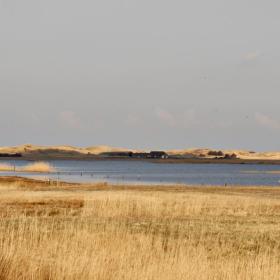 Stadil fjord fugle