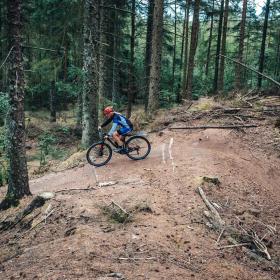 Mountainbike i Blåbjerg Plantage