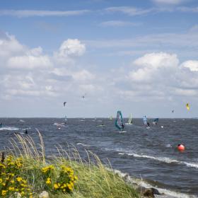 Mange ude og Windsurfe i Ringkøbing Fjord en sommerdag