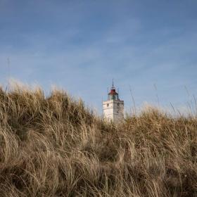 Toppen af Blåvandshuks Fyr i klitlandskab