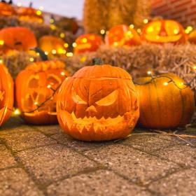 Halloween græskar