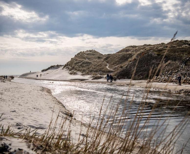 Udsigt over Henne Mølle Å